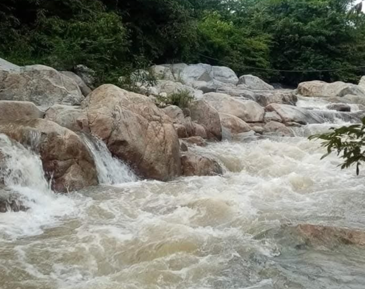 tecpan2