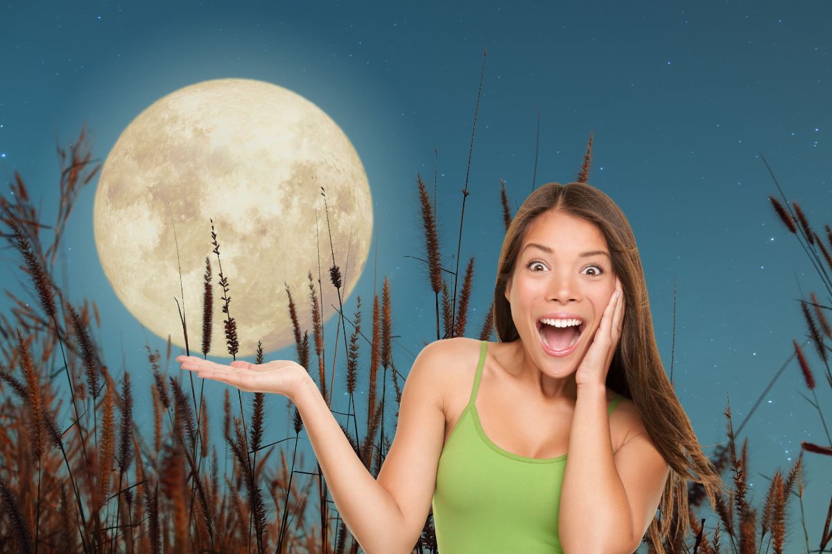 luna 2
