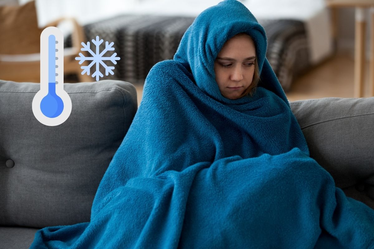 fren frio 7 5