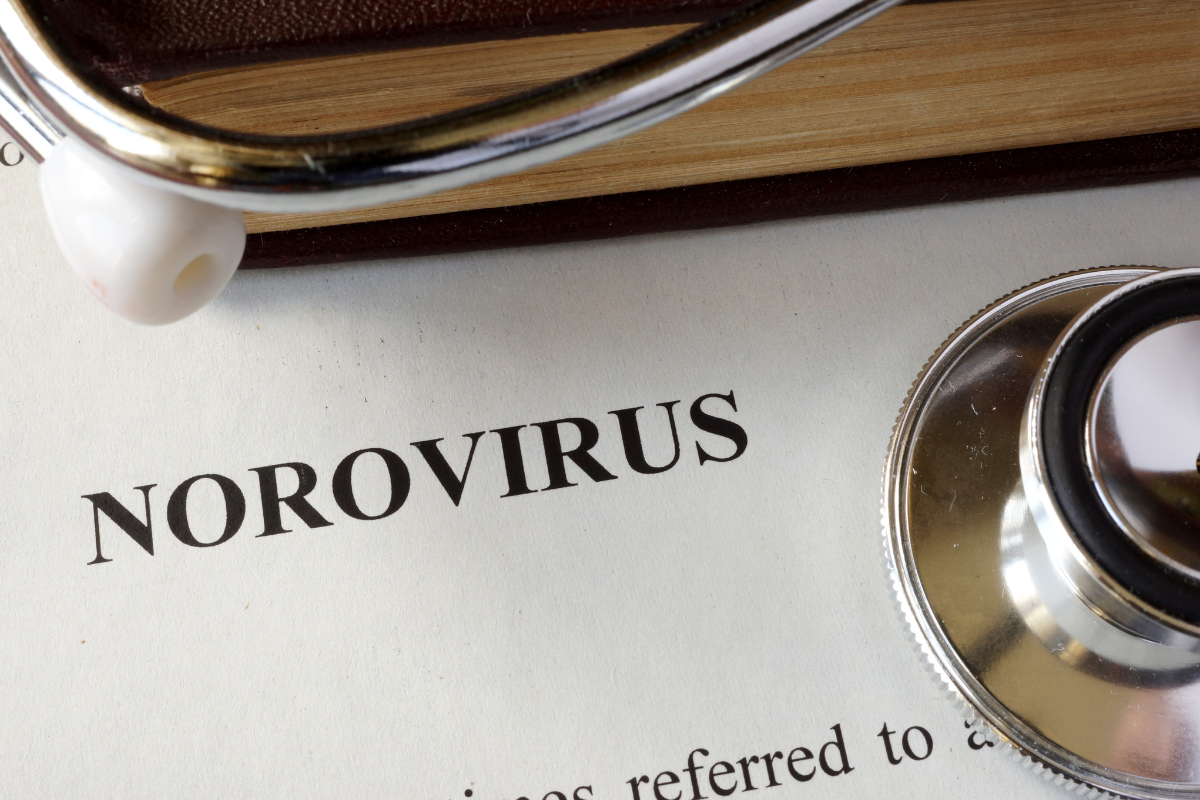 norovirus 6