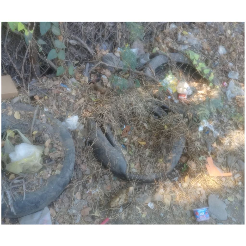 educación-ambiental-en-Iguala