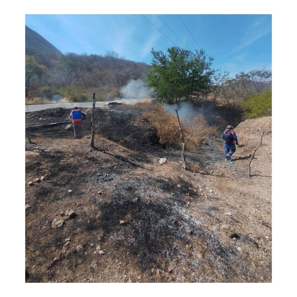 incendio-en-Texalco-Copalillo