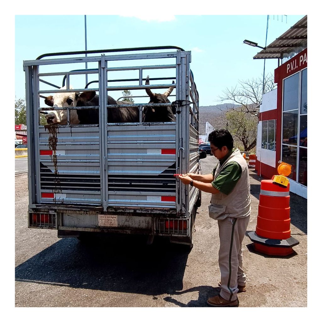 Sanidad-animal-Guerrero